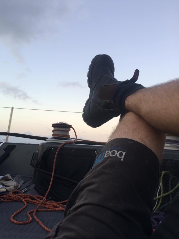 13729073_1165772306807768_6954189500534075066_n